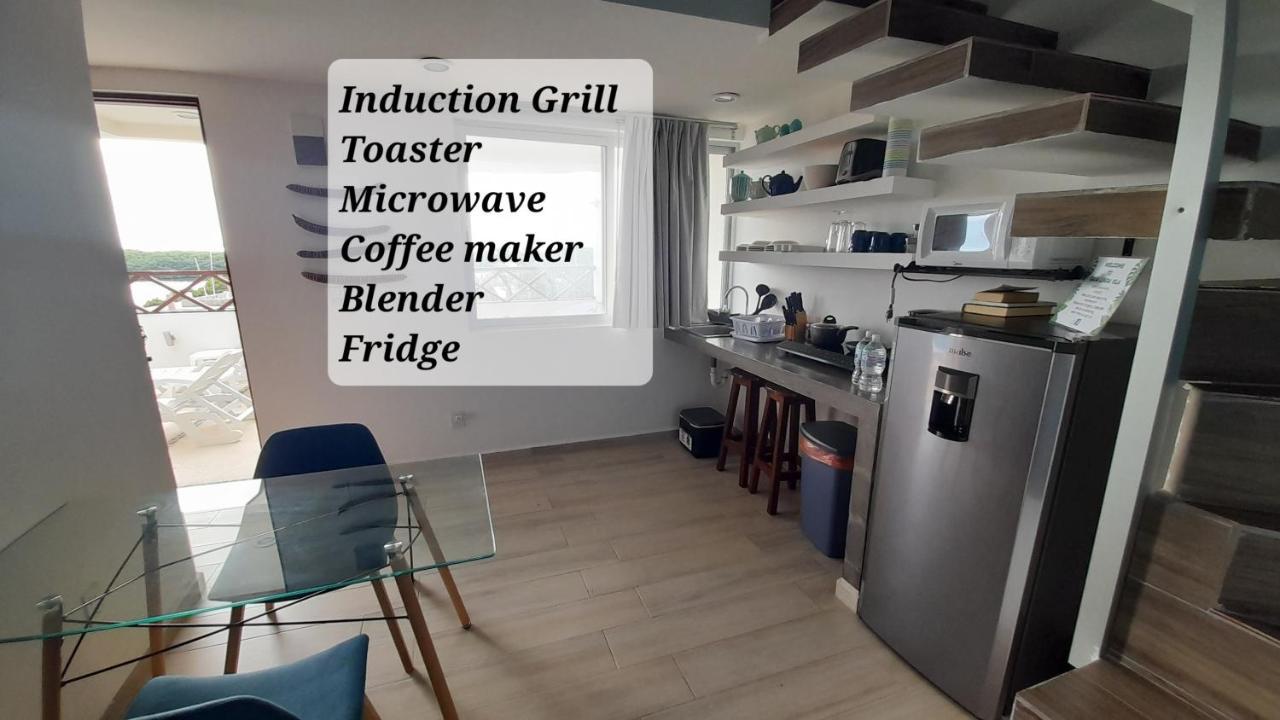Linda Vista Loft- Ocean View- Shared Pool *